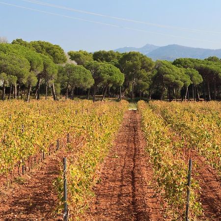 Le gîte des cinq cépages Fréjus Esterno foto